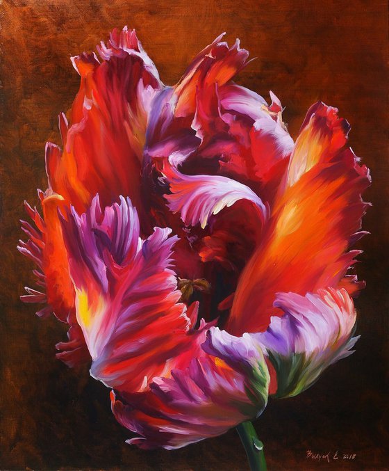 "Tulip"