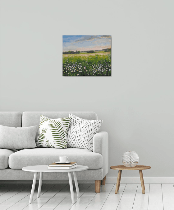 Field of daisies