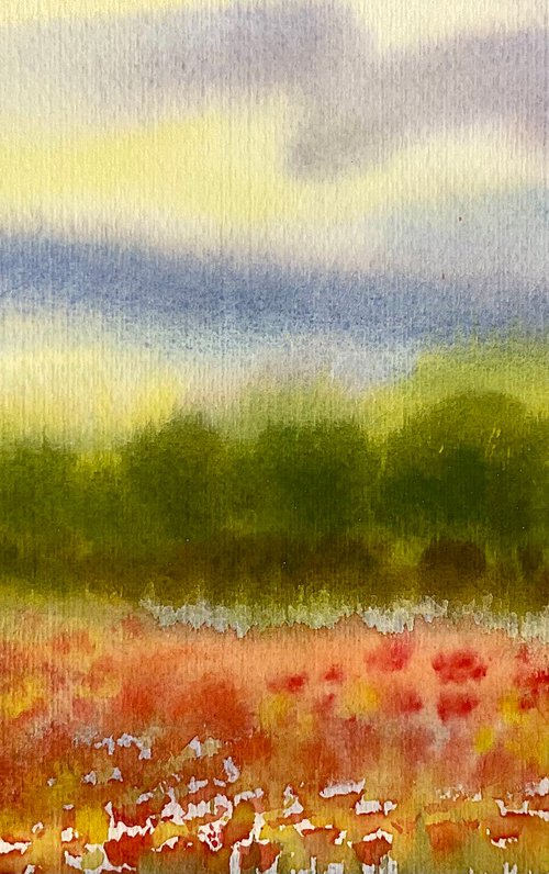 Misty poppy meadow by Samantha Adams