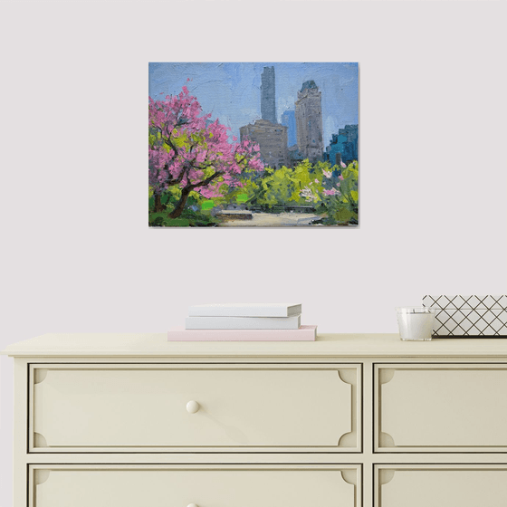 The Cherry Blossom in Central Park