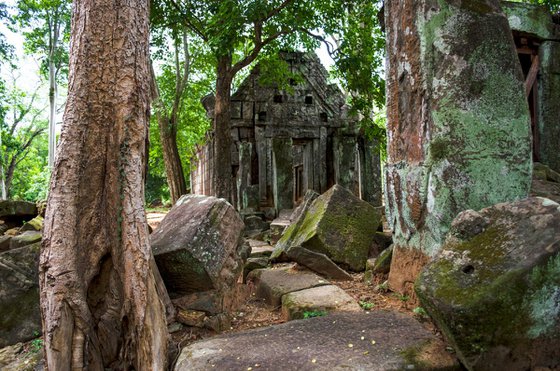 Angkor No.2 - Signed Limited Edition