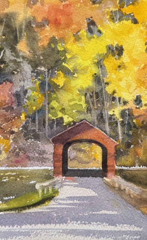 New England covered bridge by Shelly Du