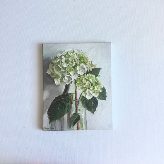 White hydrangea flower