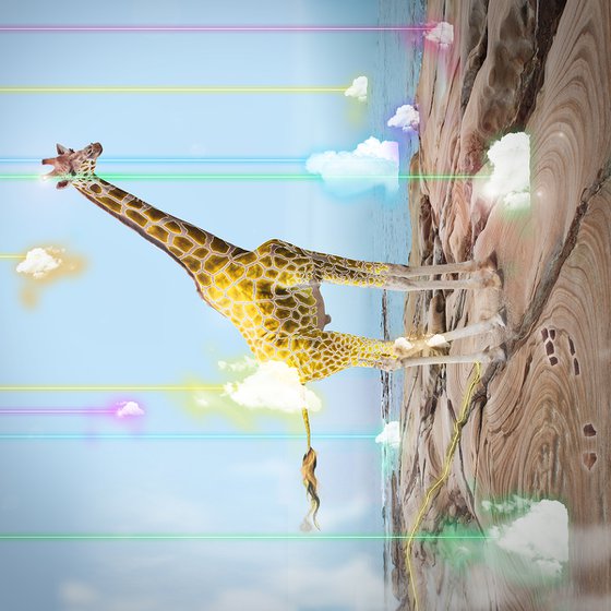 Giraffe Wall