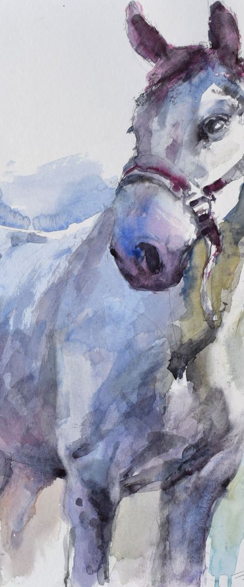 Horse study 3 by Goran Žigolić Watercolors