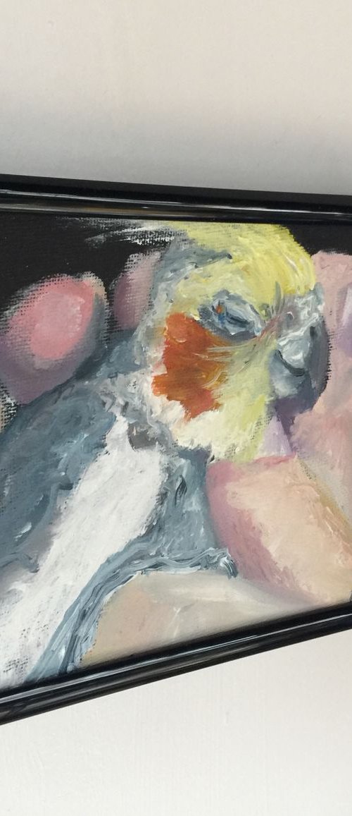 Cockatiel by Ryan  Louder