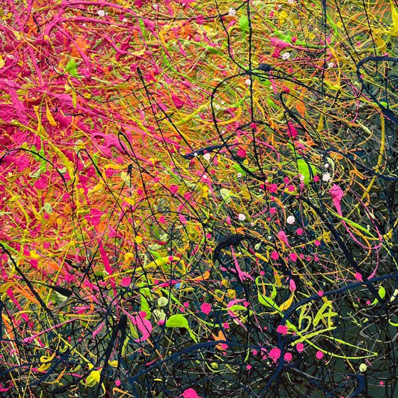 A Melody of Floral Dreams