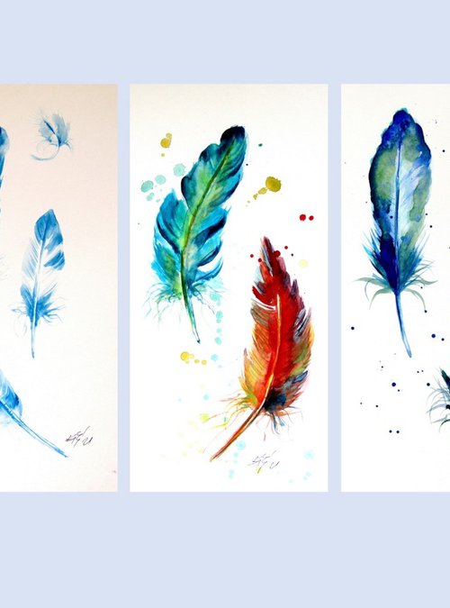 Feathers collection by Kovács Anna Brigitta