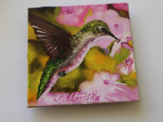 Hummingbird