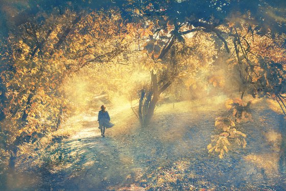 In the sunny forest.