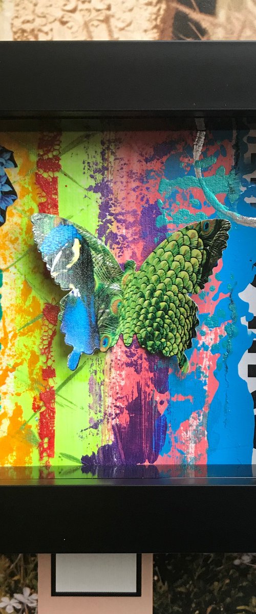 Mini Beauty  No15 - Abstract Butterfly in Box by Hernan Reinoso