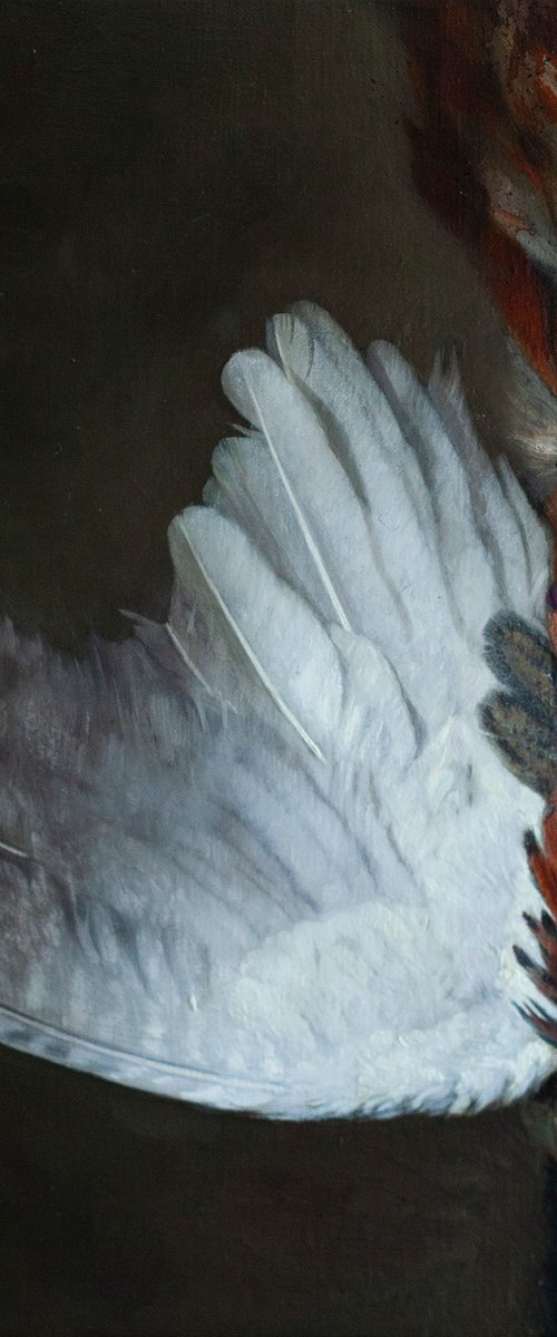 Pheasant wing by Davit Davtyan