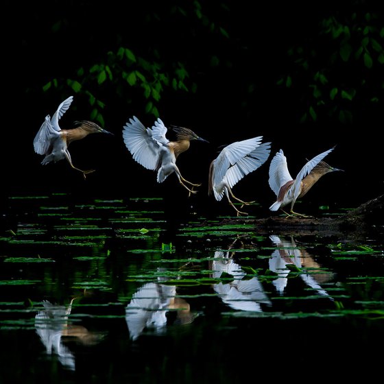 Landing