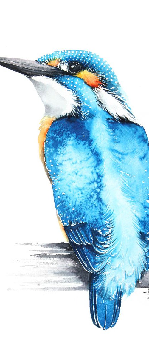 Kingfisher, 20x30cm, birds, wildlife and animals watercolours by Karolina Kijak