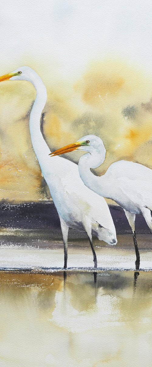 The great egret by Andrzej Rabiega