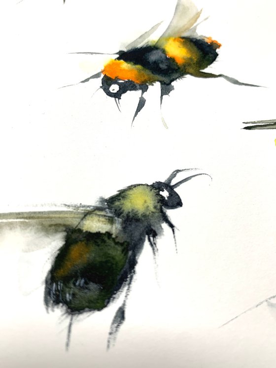 Bumblebees