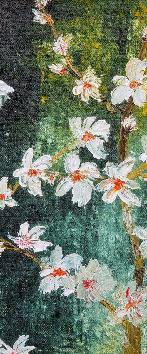 Cherries in bloom by Daniel Urbaník