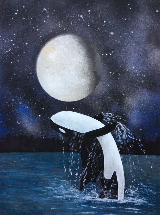 Orca in the moonlight