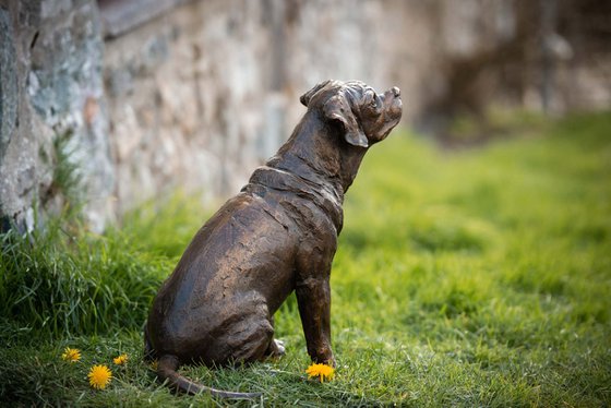 Sitting Puggle FB