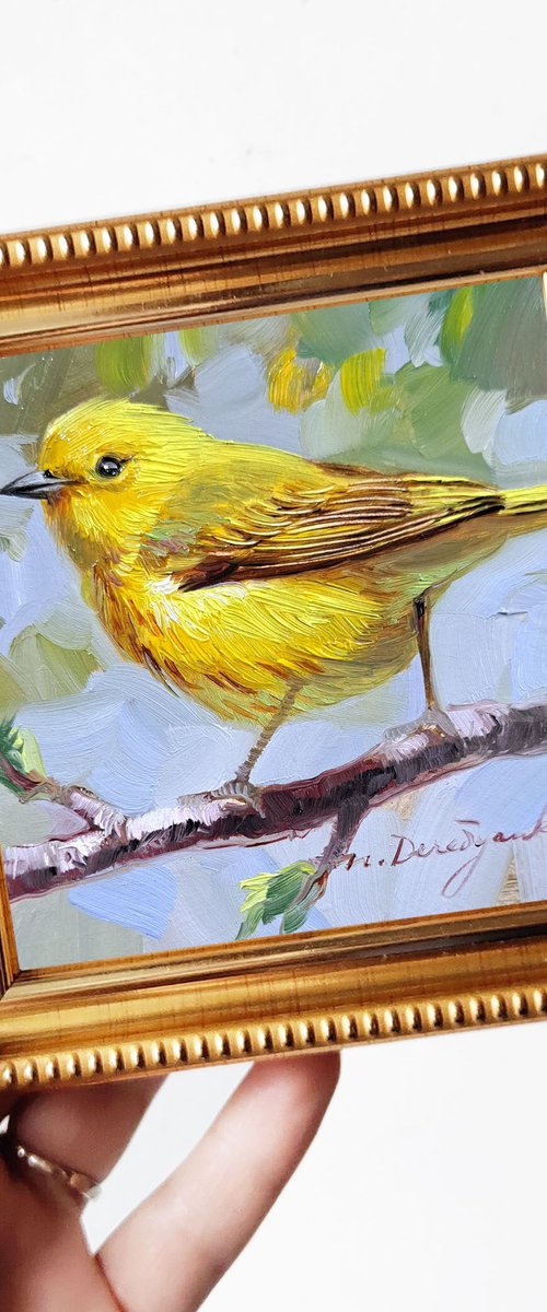 Yellow warbler by Nataly Derevyanko