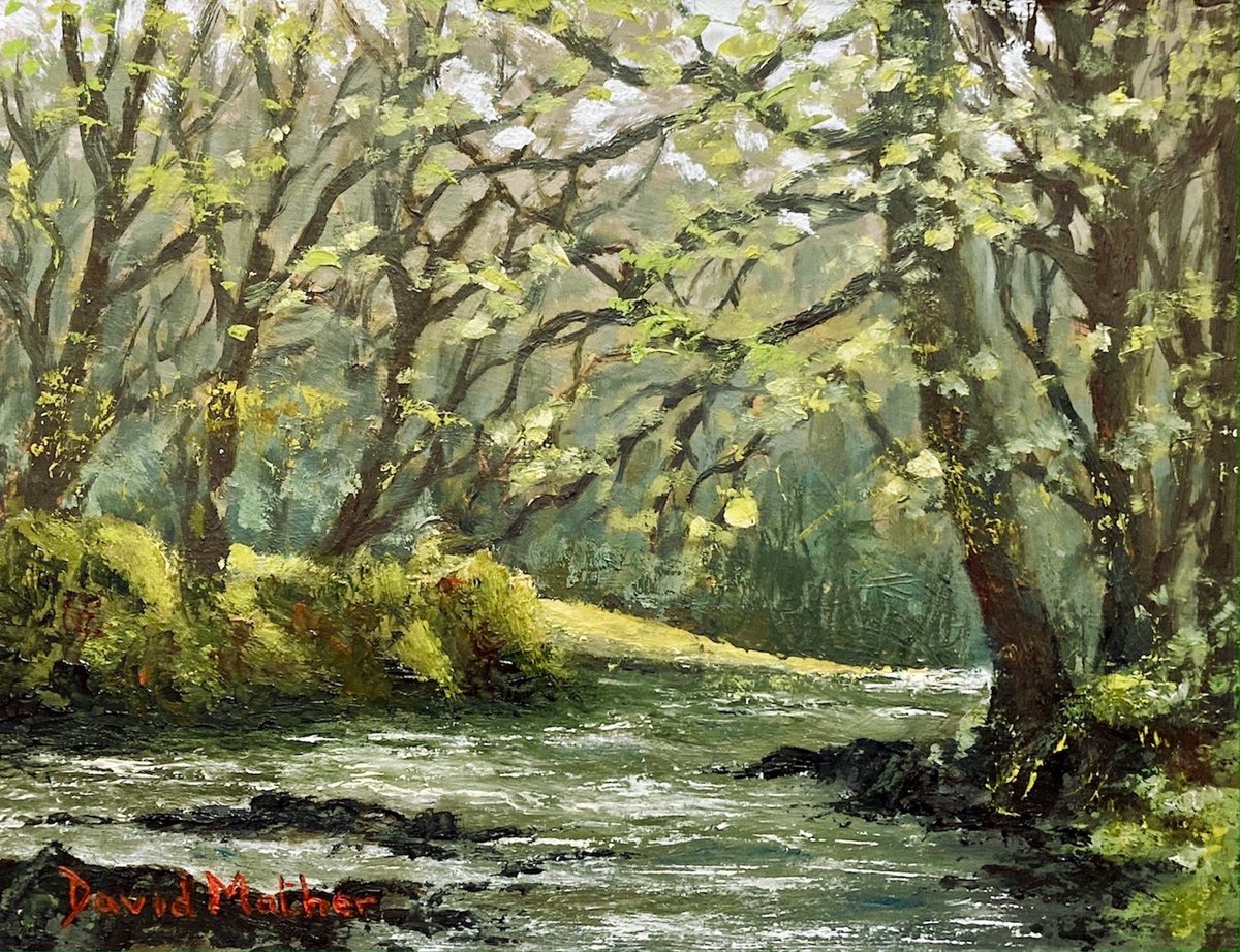 River Lynher at Cadsonbury Woods by David Mather