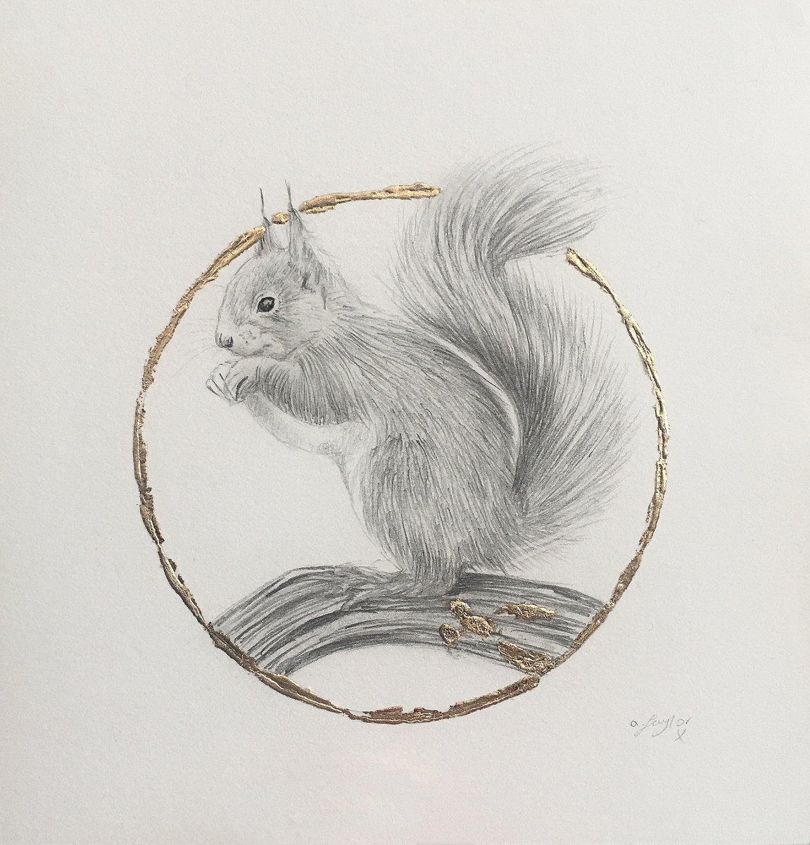Squirrel drawing by Amelia Taylor