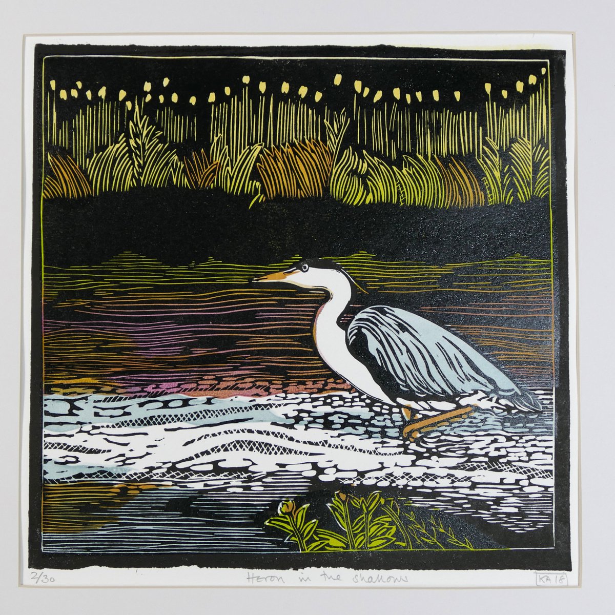 Heron in the shallows by Keith Alexander