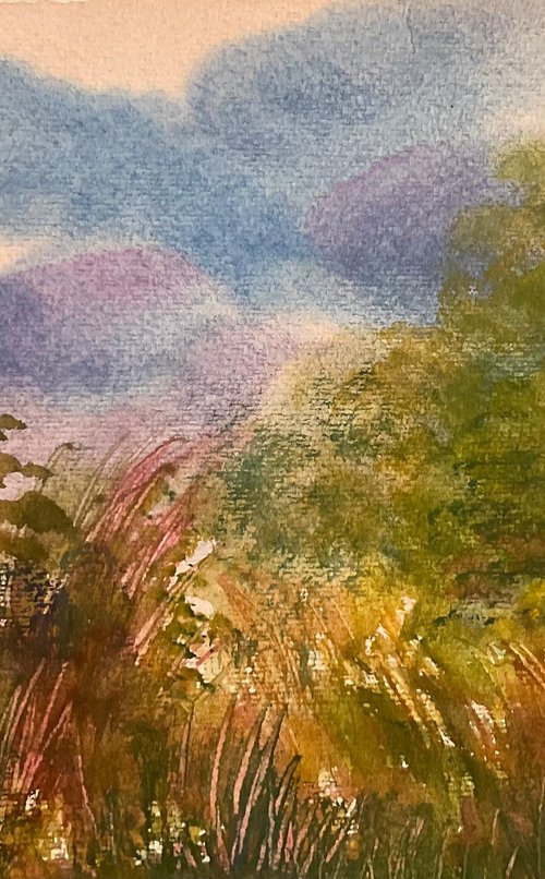 Summer sky by Samantha Adams