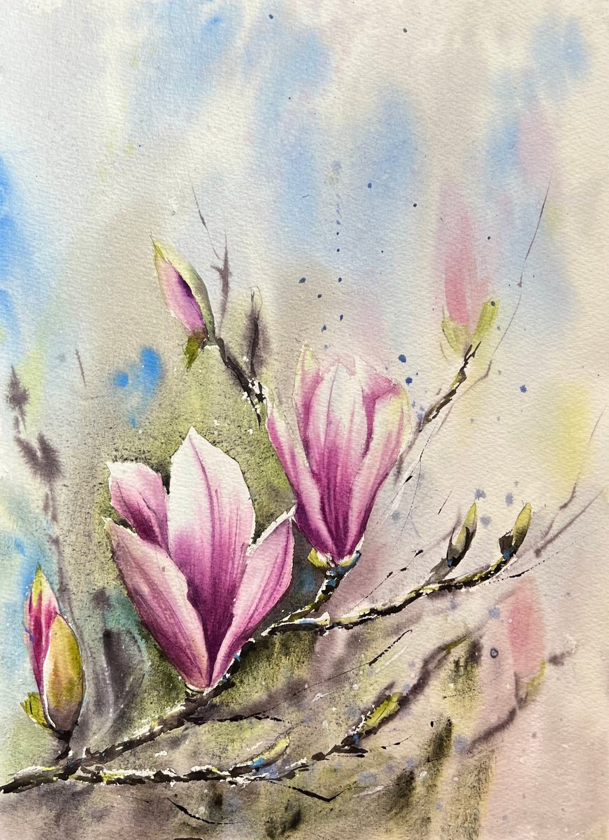Magnolias Flowers in Hasselt by Yana Ivannikova