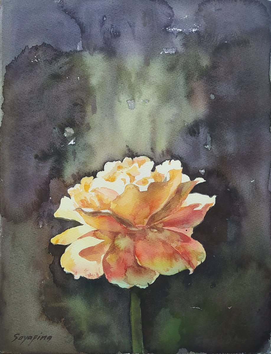 Yellow Rose by Elena Sayapina