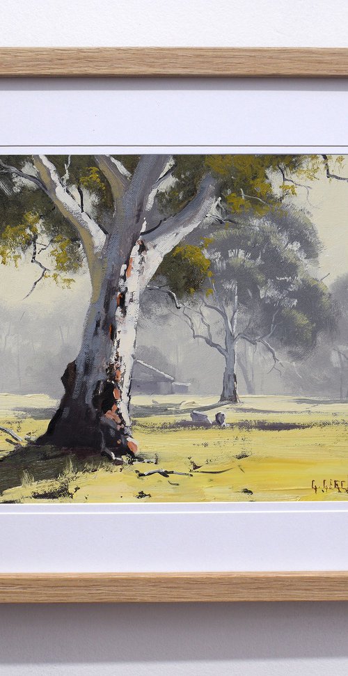 Australian Eucalyptus tree & Farm shed by Graham Gercken