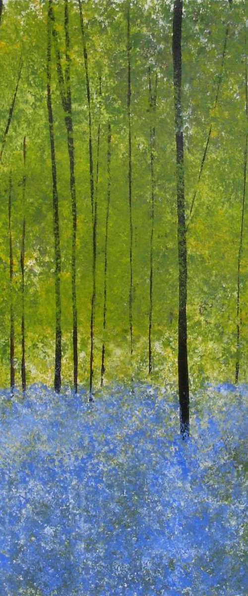 Bluebell Woods 2 by Jan Rippingham