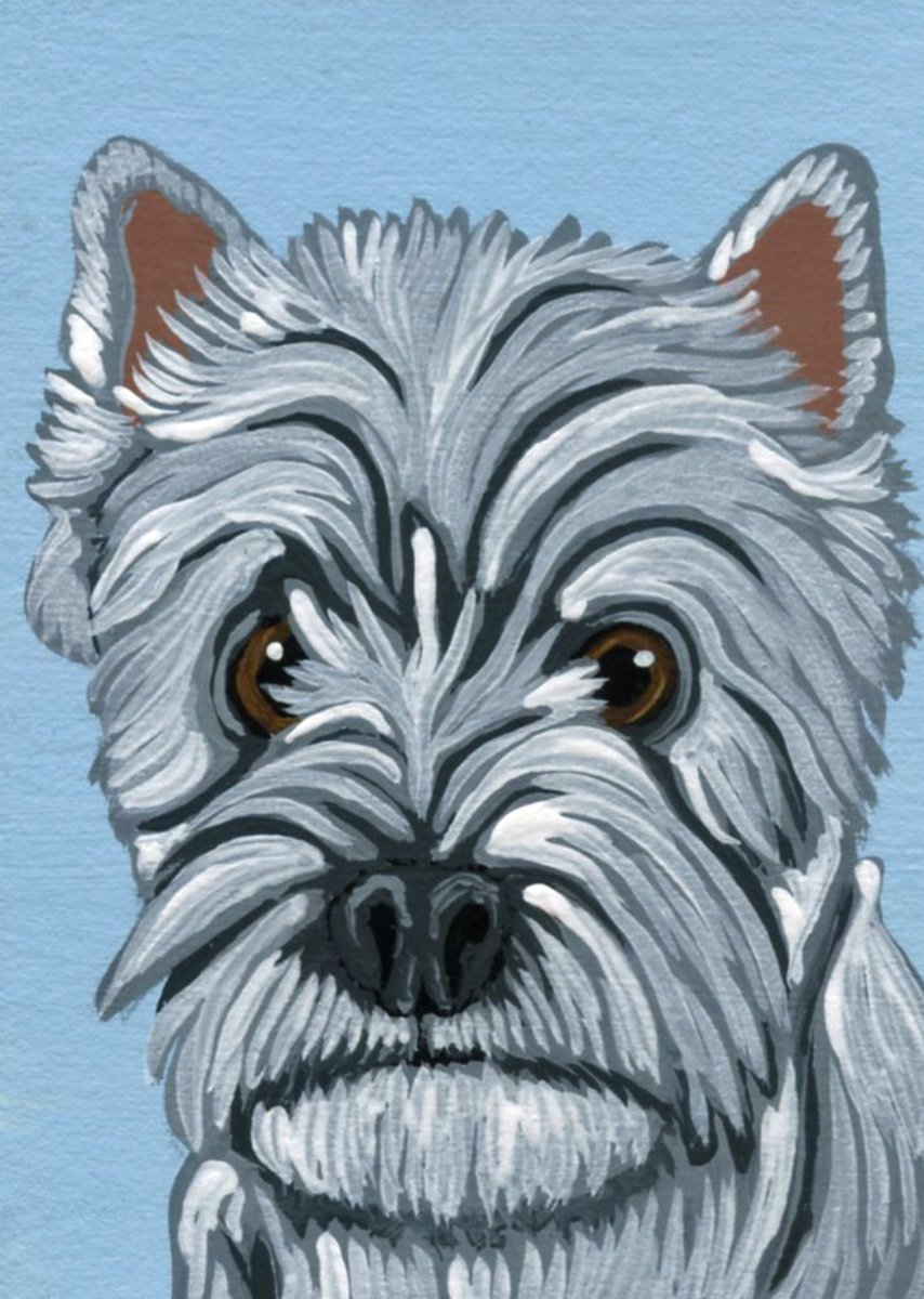 ACEO ATC Original Miniature Painting Westie West Highland Terrier Pet Dog Art-Carla Smale by carla smale