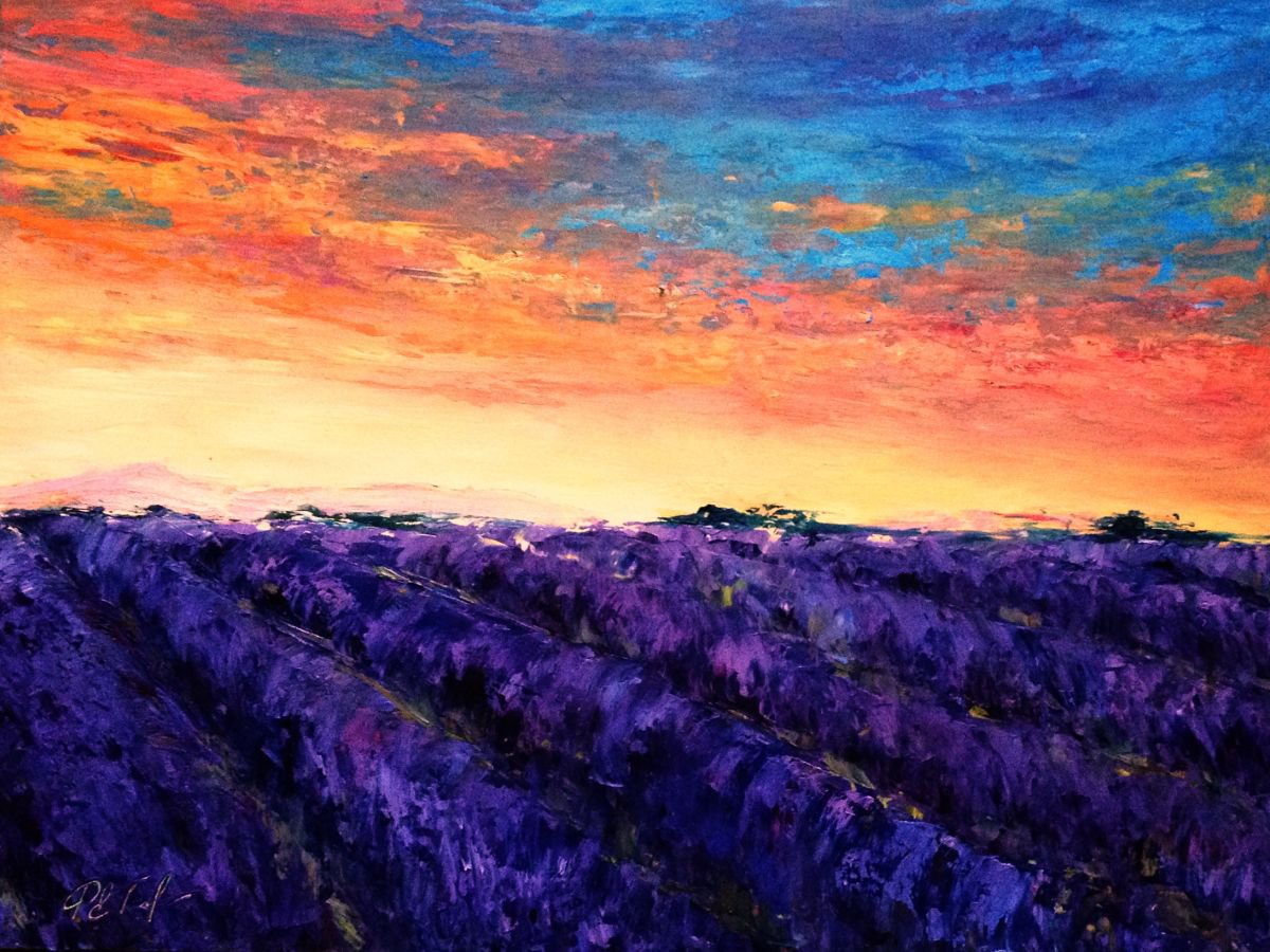 Lavender in Provence by Alena Rumak | Artfinder