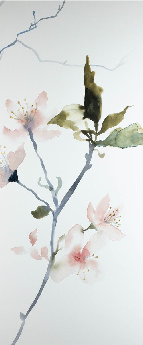 Cherry Blossom No. 2 by Elizabeth Becker