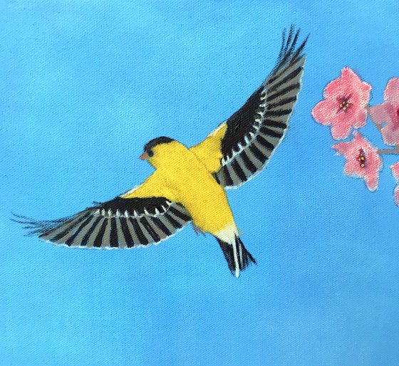 AMERICAN GOLDFINCH