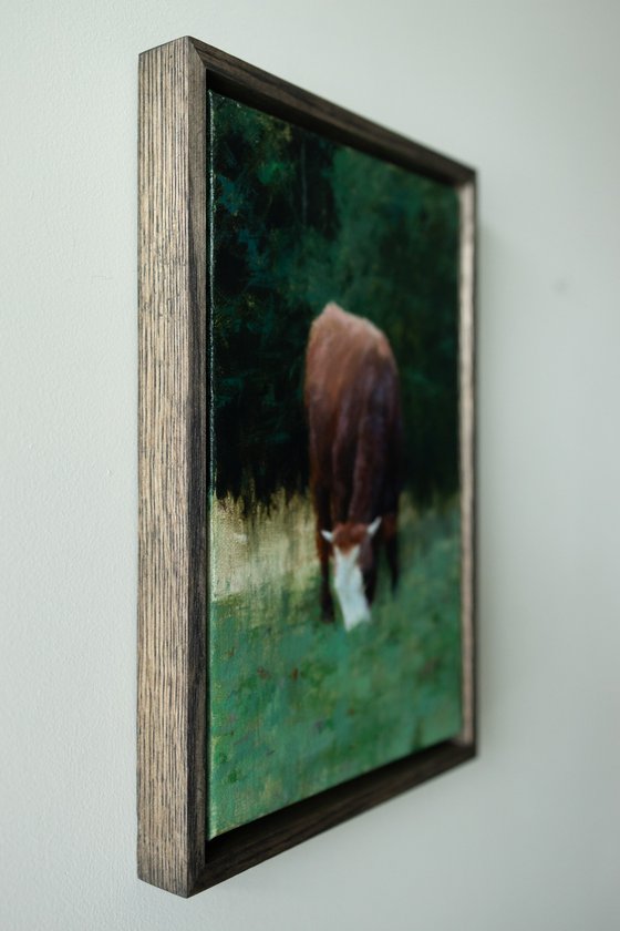 Evening Silence In The Forest