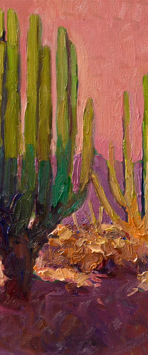 After the Heat. Dasert Evening by Suren Nersisyan