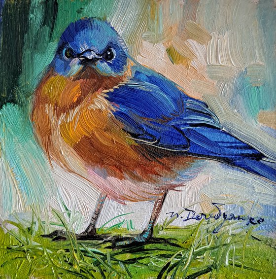 Eastern Bluebird painting original in oil 4x4 framed