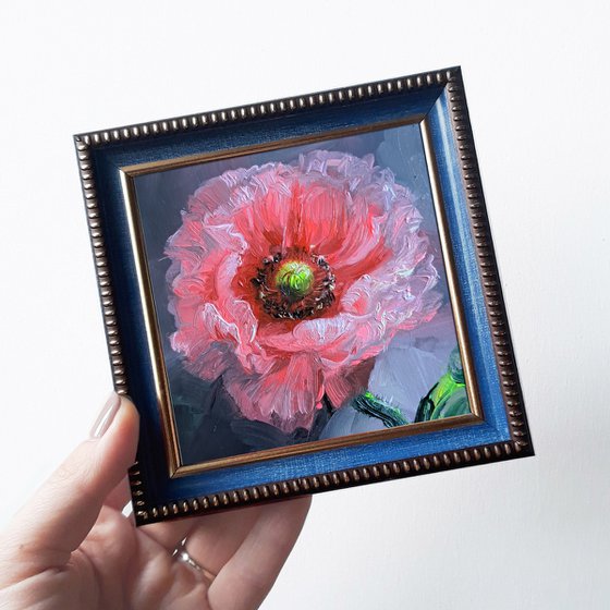 Poppy flower