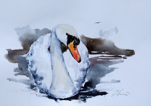Swan. by Graham Kemp