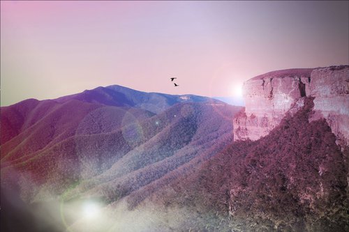 Mountain Purple by Vanessa Stefanova