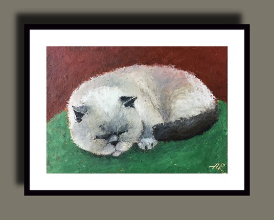 Caught Napping. Cats,Animals,Portrait, Oil,Pastel.