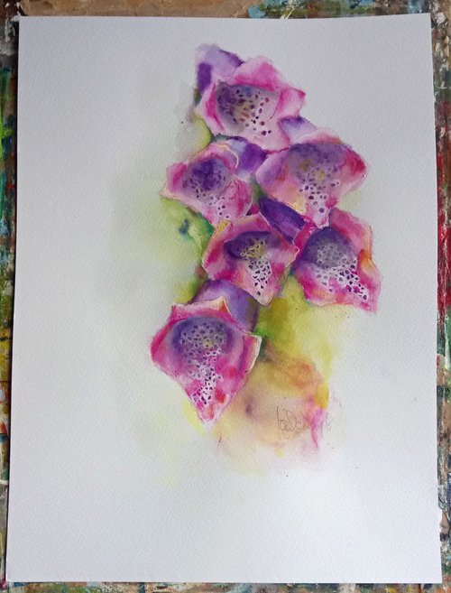 Foxgloves by Louise Diggle