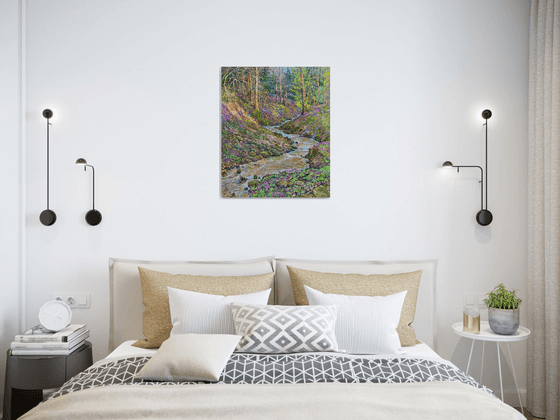 Springs of a mountain stream