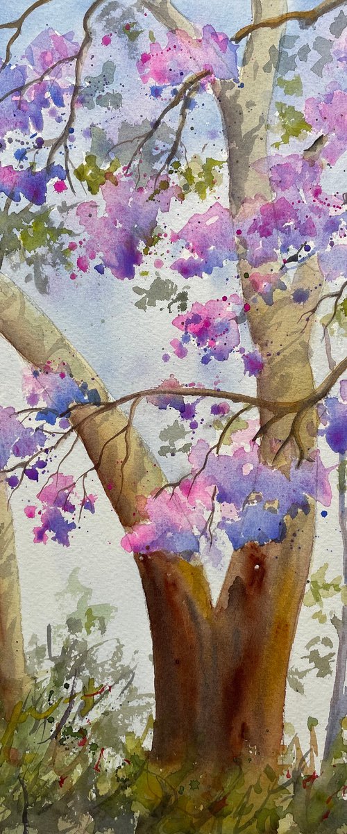 Jacaranda and gum tree by Shelly Du