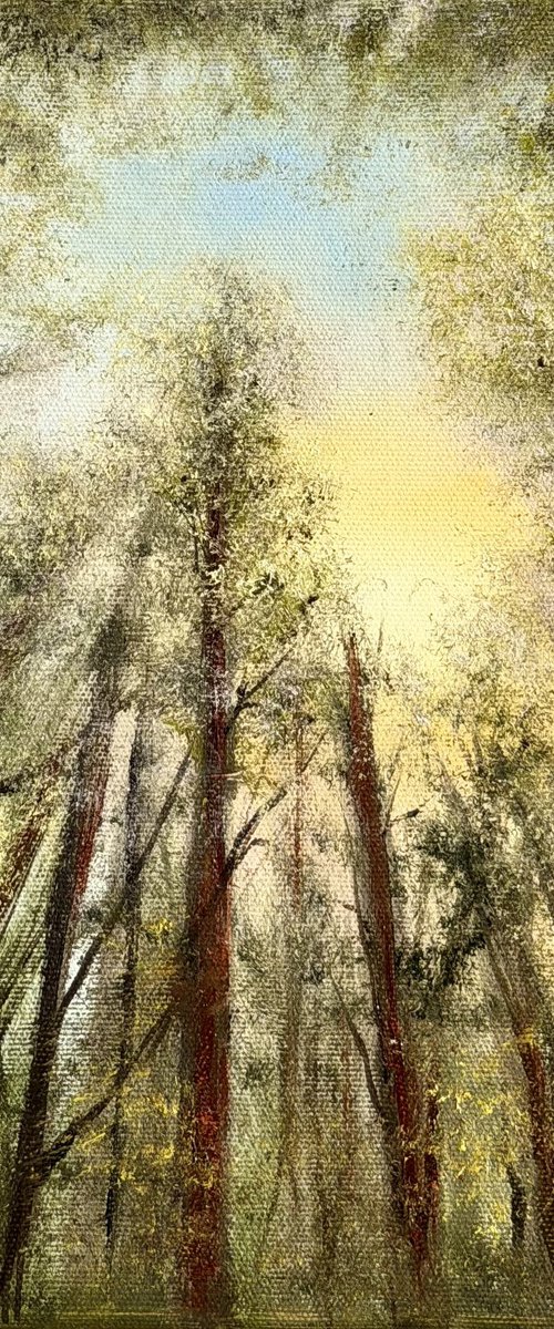 Among the Trees by Tanja Frost