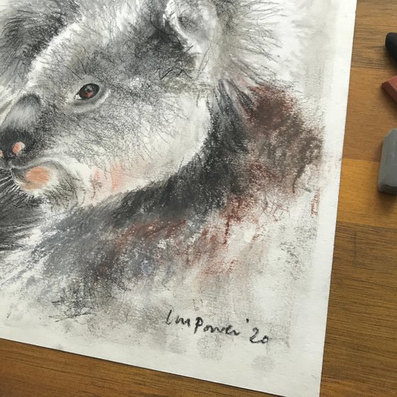 Charcoal Koala #02