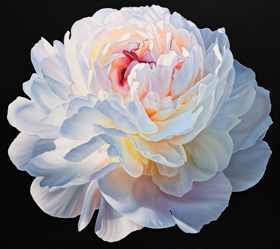 Royal peony