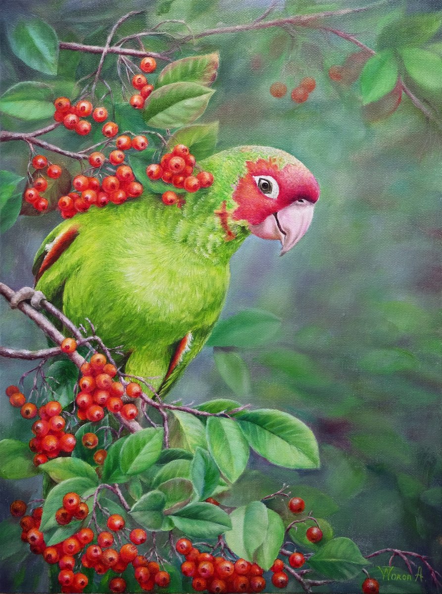 Animal Oil Painting By Anastasia Woron, 12 X 16, A Very Friendly Parrot, Original Artwork